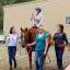 A group of people standing around a horse.